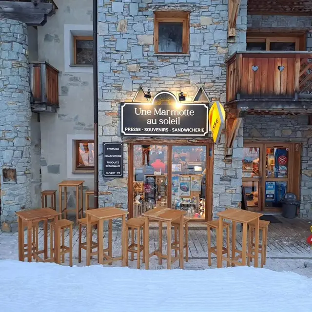 Une marmotte au soleil_Sainte-Foy-Tarentaise