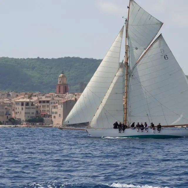 Les Dames de Saint-Tropez