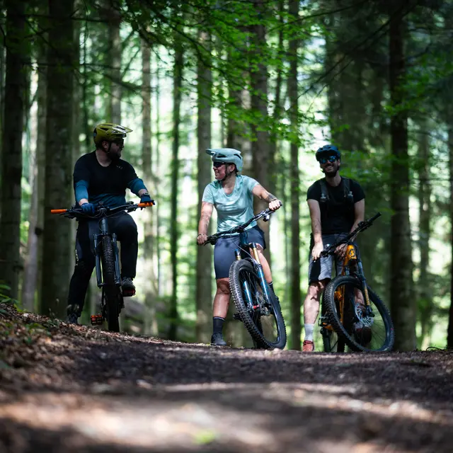 Itinéraire vtt : Spéciale du Facteur N°8_Faverges-Seythenex