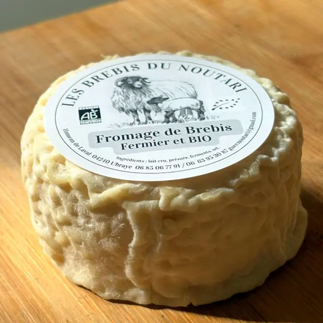 GAEC Les brebis du Noutari_Ubraye