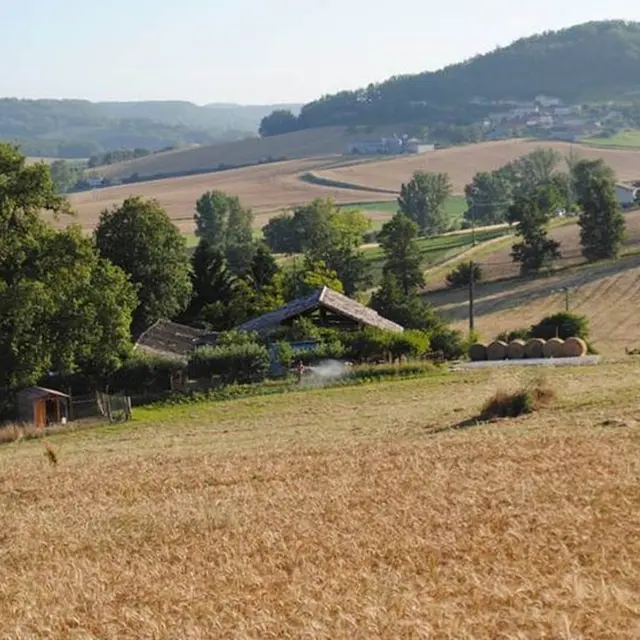 Les Biquettes de Broucelle