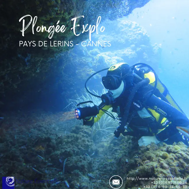 Plongée exploration