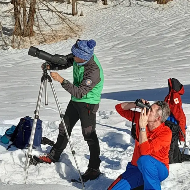 A la rencontre des chamois à la Médille