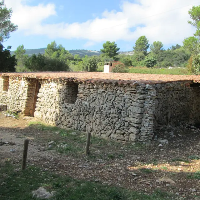Journée randonnée du côté de Cuges-les-Pins Sainte Baume - Le tour des Jas_Cuges-les-Pins