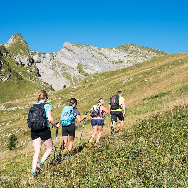 Randonnées pédestres accompagnées