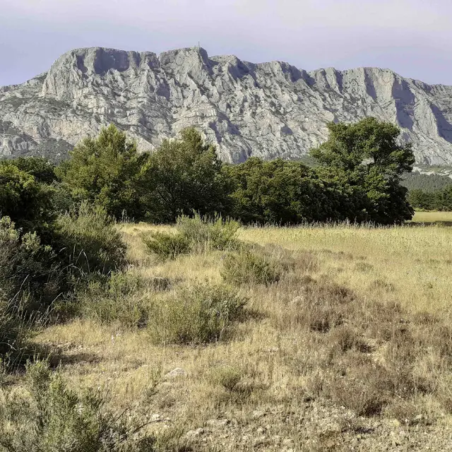 Inventaire photographique des papillons de nuit à Maurély_Saint-Antonin-sur-Bayon