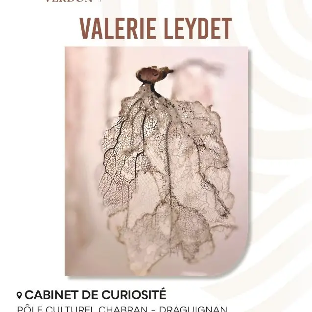 Exposition Valerie Leydet_Draguignan