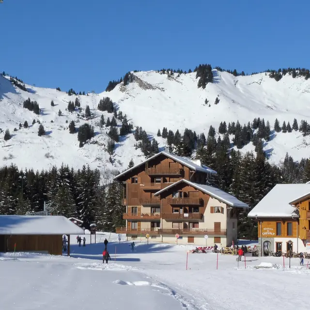 Les Marmottes - 35 m² - n°600