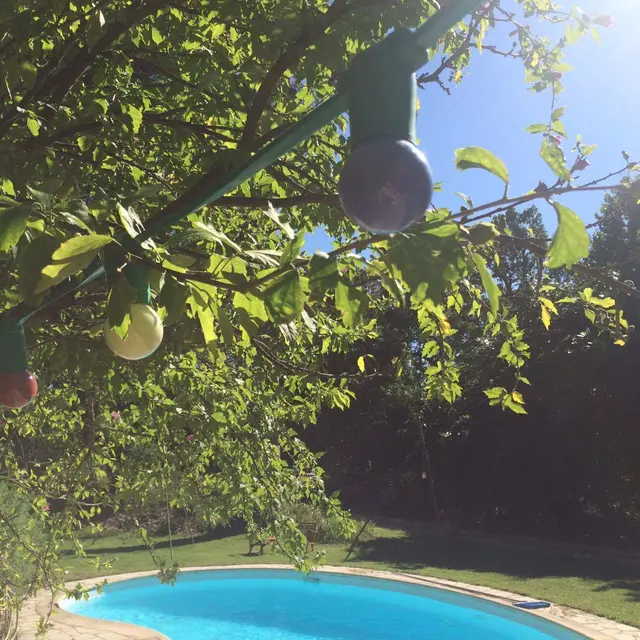 Les Volets Lavande - piscine