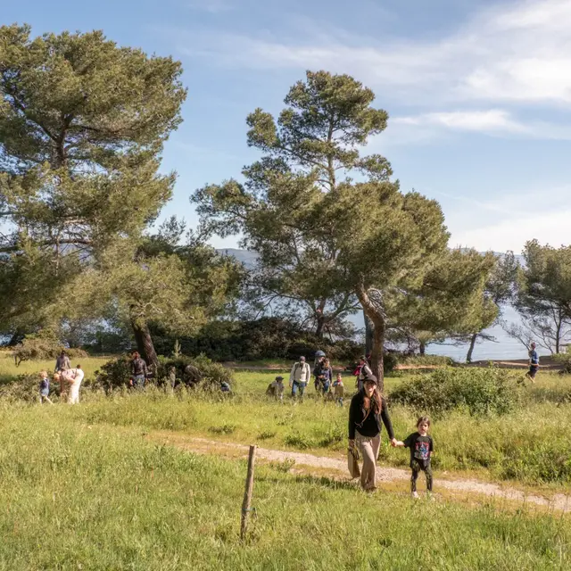 Chasse aux oeufs sur l'île des Embiez_Six-Fours-les-Plages