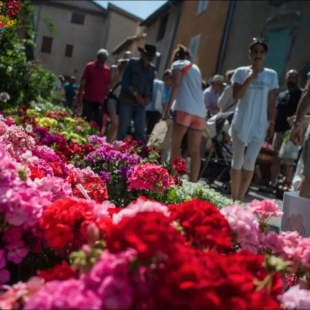 Salon des plantes Moriez