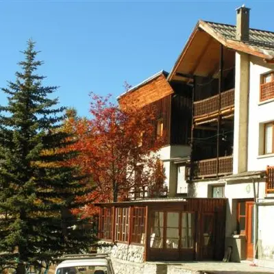 Brunet écureuils