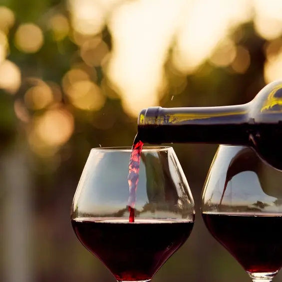 Fête du vin nouveau_Alès