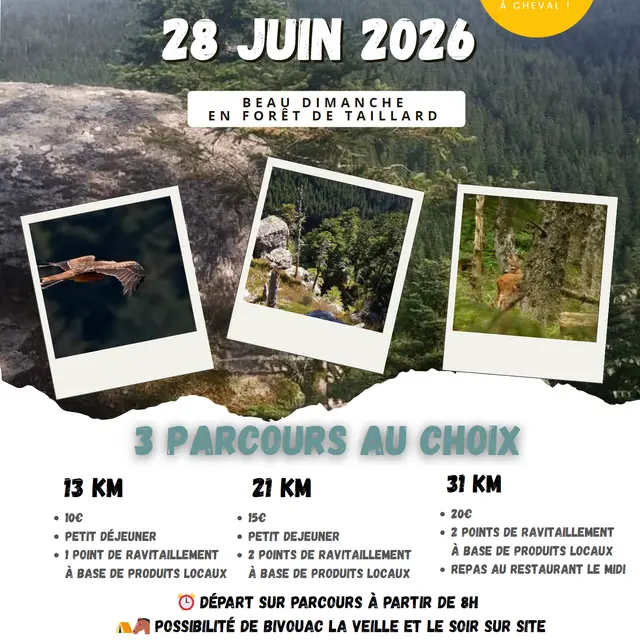 Sortie équestre Beau dimanche en forêt de Taillard_Burdignes