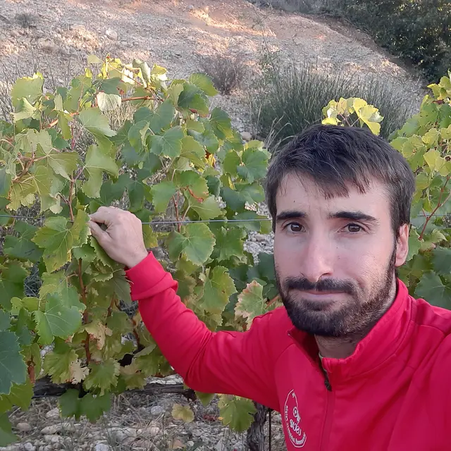 Domaine Le Clot du Bénou