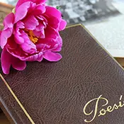 Atelier - Écritures créatives_Sorgues