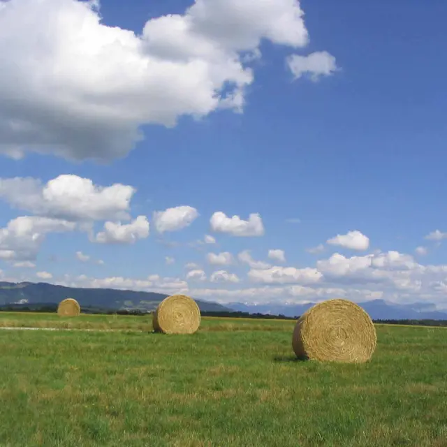 paysage et récoltes