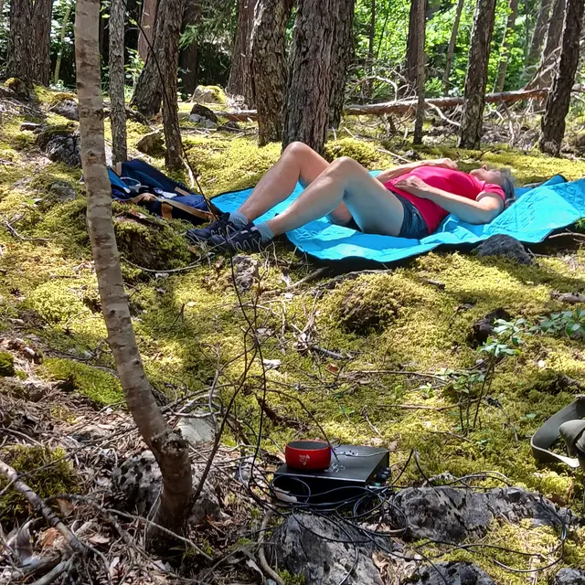 La forêt Arc-en-Ciel_Les Vigneaux