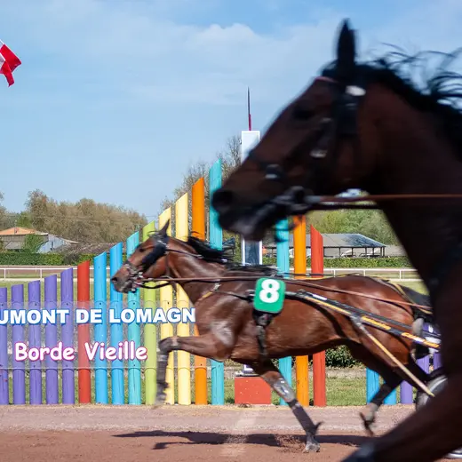 Courses hippiques à Bordevieille