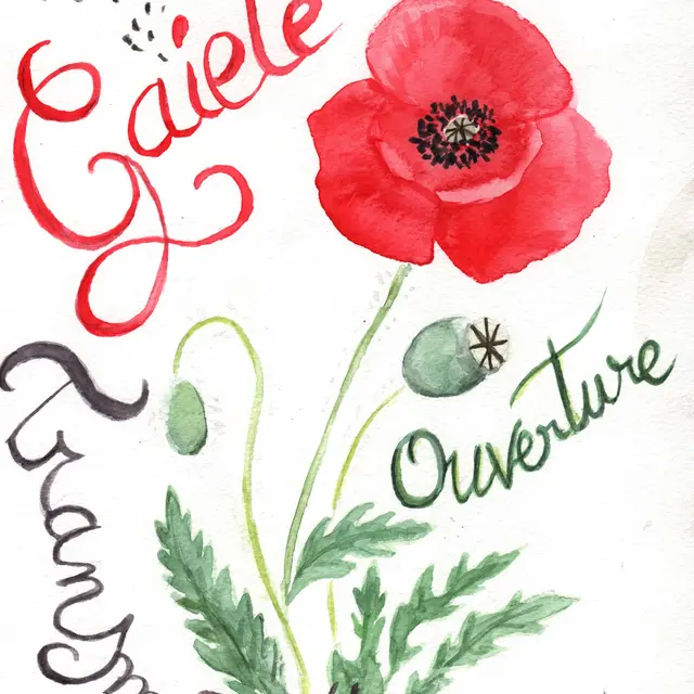Les 3 sorcières gentilles