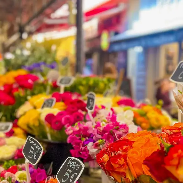 MARCHE AUX FLEURS_La Tour-d'Aigues