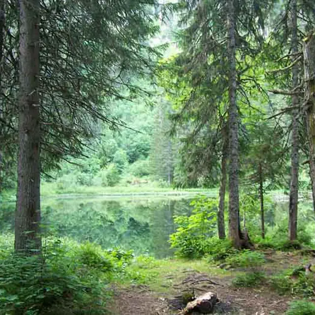 Lac de Petétoz_Bellevaux