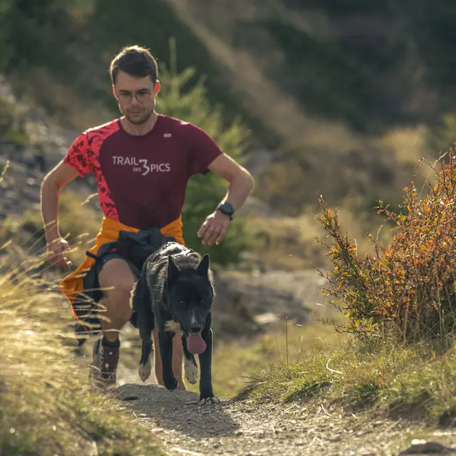 Cani-trail_Abriès-Ristolas