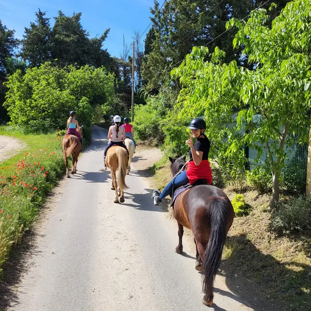 Chev'Alpilles - Balade à cheval à Saint-Rémy-de-Provence