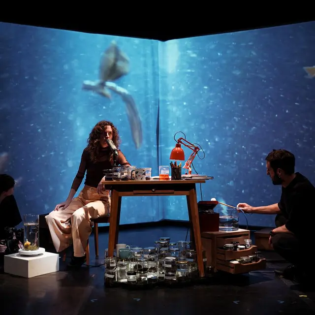 Matcha Girl - Festival Confit !_Cavaillon