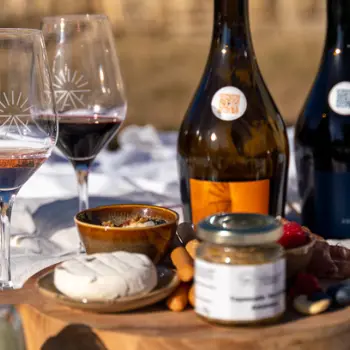 dégustation de vins, huiles d'olive et planche gourmande aux Terrasses d'Adrien_Sannes