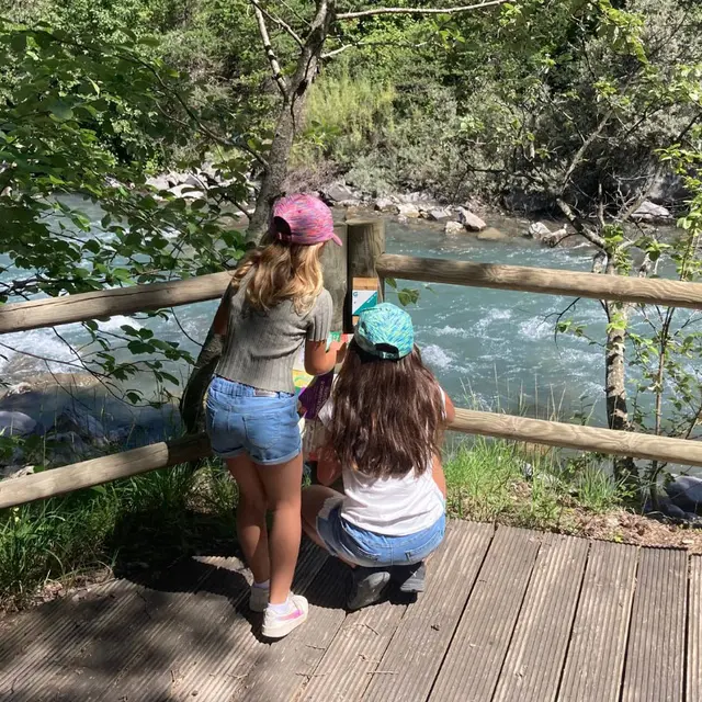 Parcours d'orientation des Thuiles