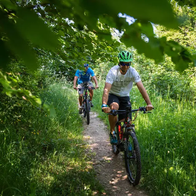 Descente vtt Massif des Bauges