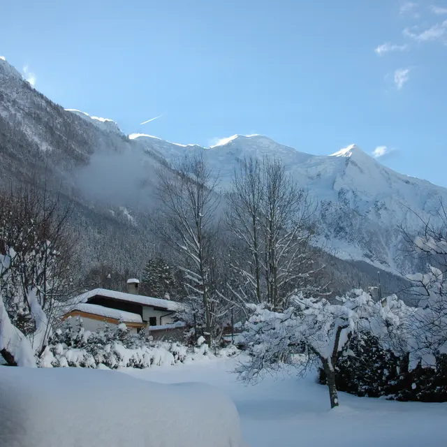 Chalet-mitoyen-Vasa20-Wibault 1