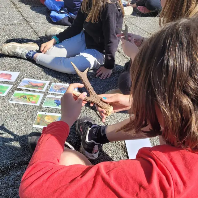 Mène ton inventaire ! I Rendez-vous Nature en Savoie_Sainte-Reine