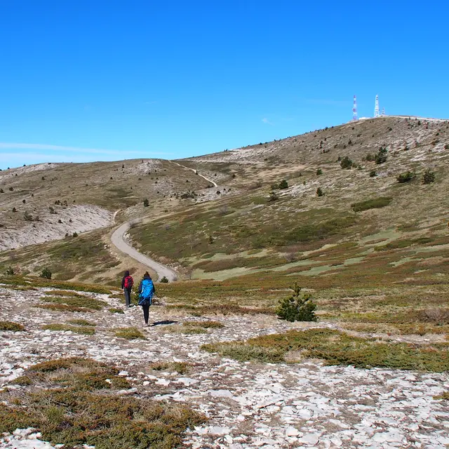 A la découverte de lure