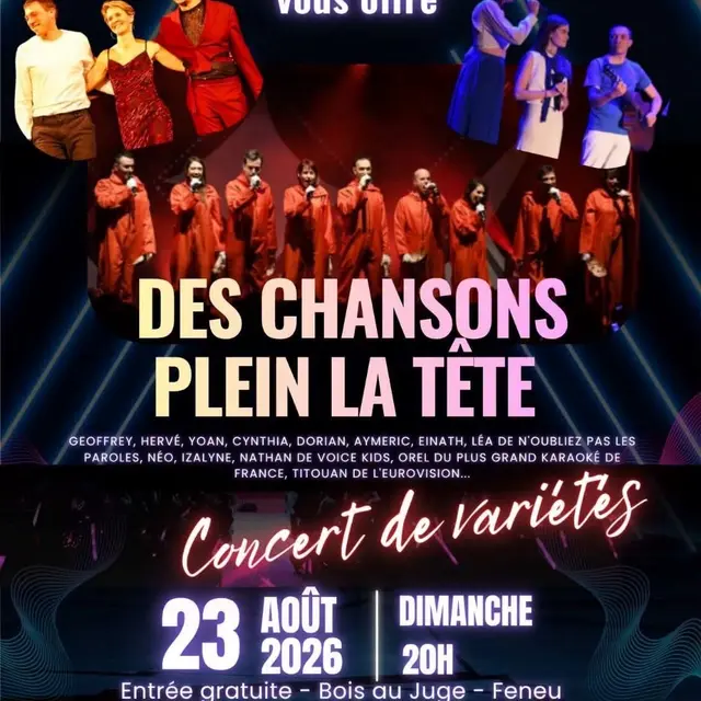 Concert des chansons plein la tête