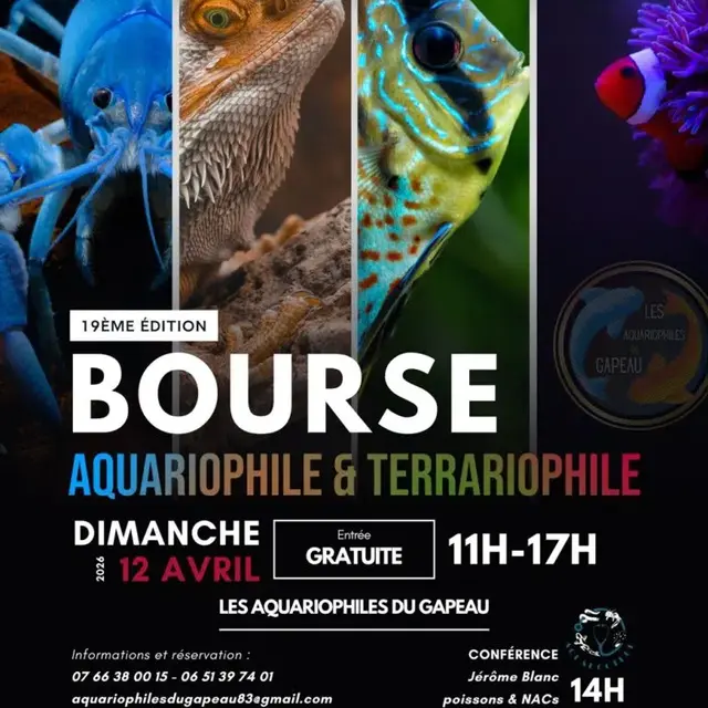 Bourse aquariophile