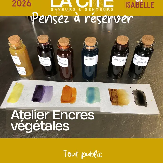 Atelier encres végétales_Forcalquier