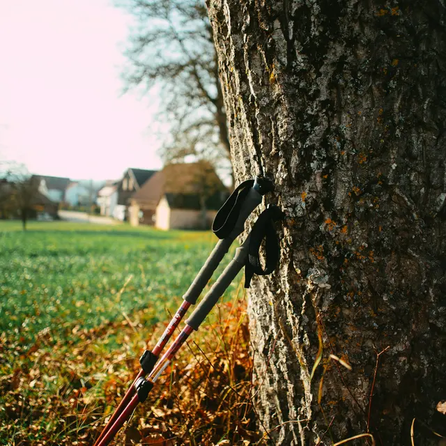 Marche Nordique_Digne-les-Bains