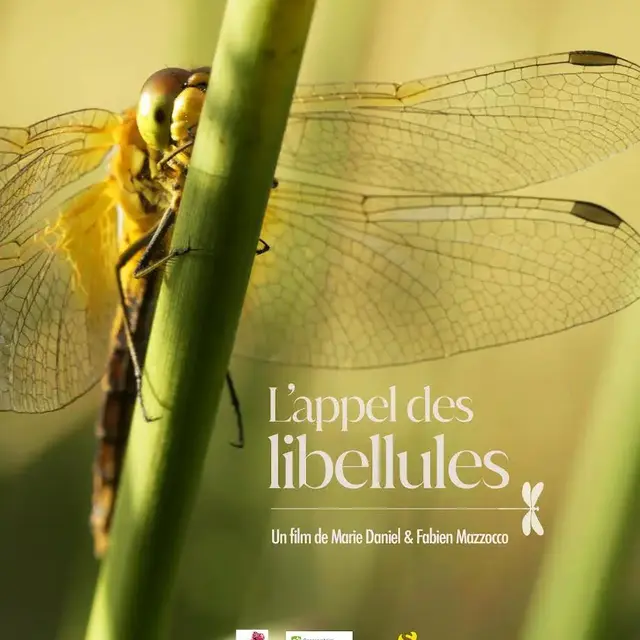 L'appel des libellules : film en refuge_Tende
