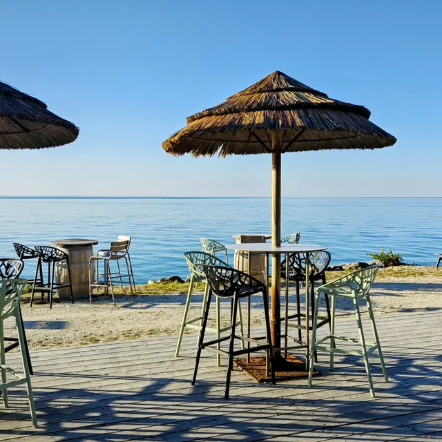 Dégustation avec vue mer