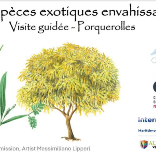 Balade nature sur l’île de Porquerolles_Hyères