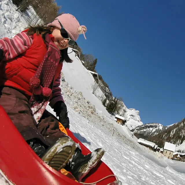 Luge