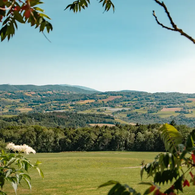 Panorama depuis Saint-Symphorien - Andilly