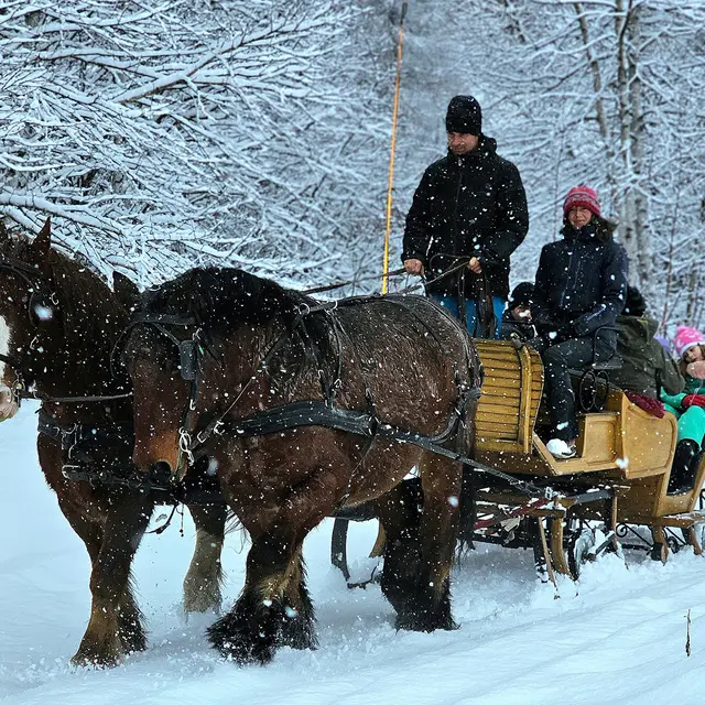 Provence Equiservices