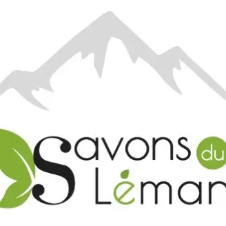 Logo SDL
