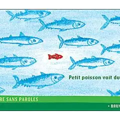 Petit poisson voit du pays_Avignon
