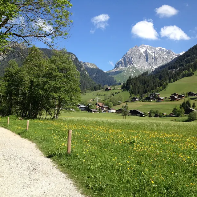 Chemin des Bords de Dranse