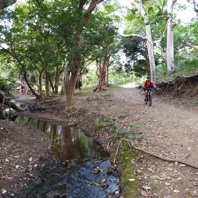 Piste VTT n°10