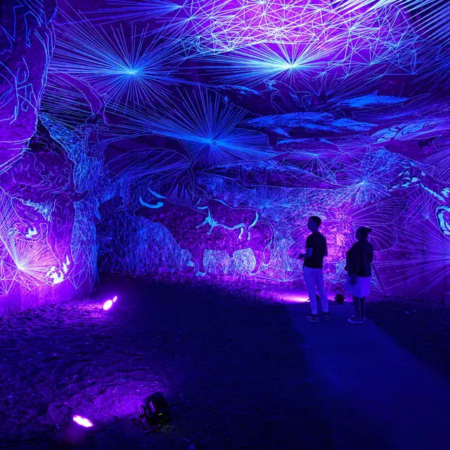 Caves Ackerman - Artiste Julien Salaud